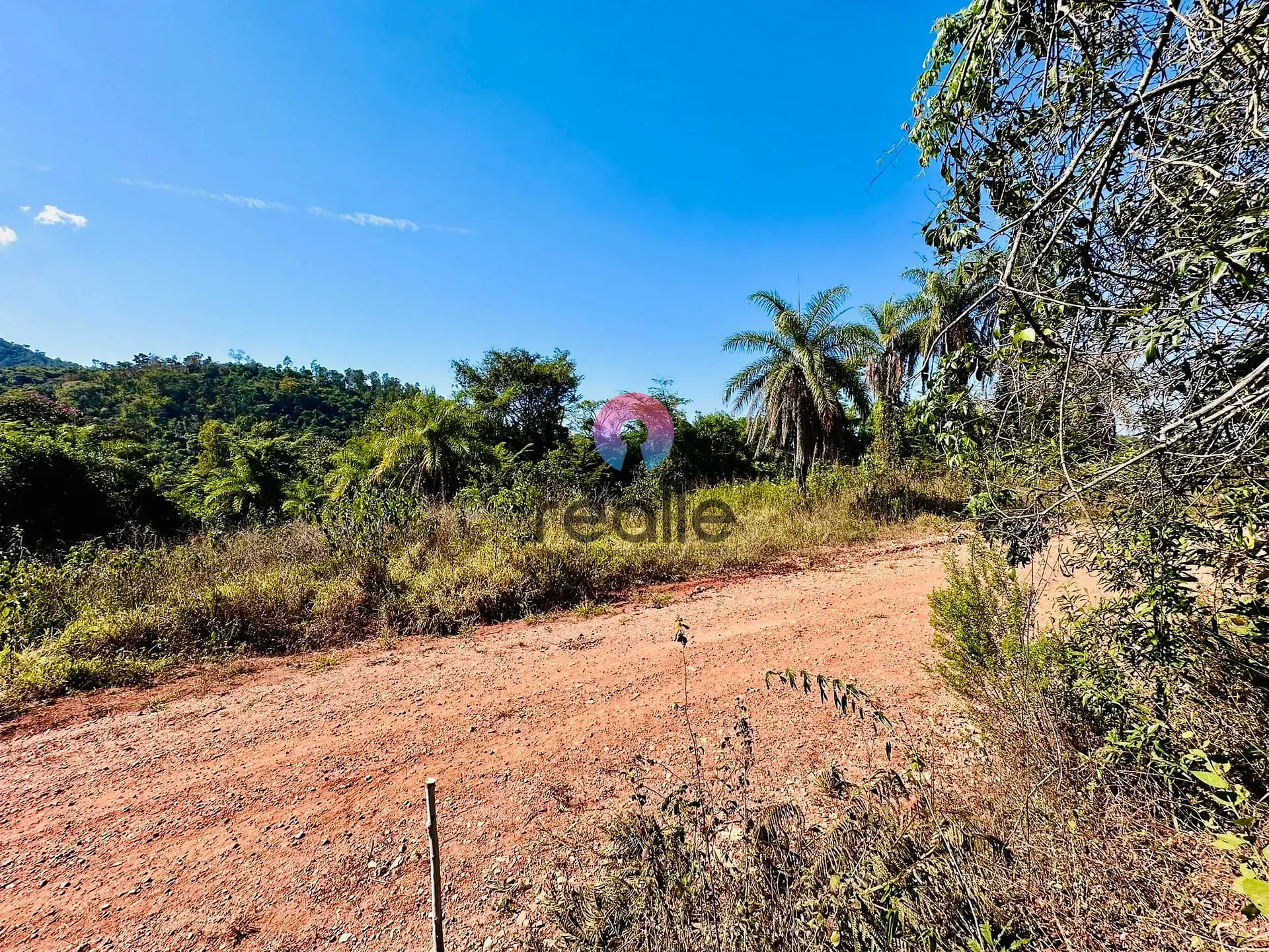 Terreno, 2 hectares - Foto 8