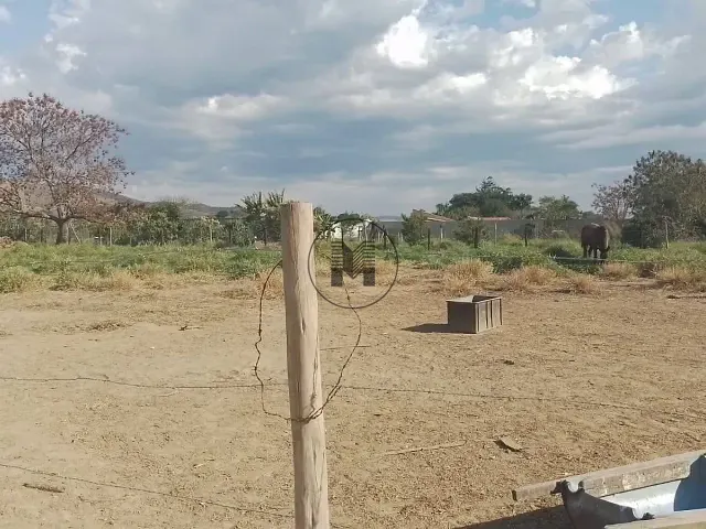 Terreno com 600m², à venda, no bairro Veloso em Roseira