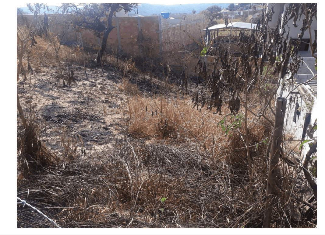 Terreno com 250 m2, com 10 m2 de frente e 25 m2 de fundos, todo murado e já foi feito a terraplanagem, quitado, à venda, Liberdade, Santa Luzia, MG miniatura 4