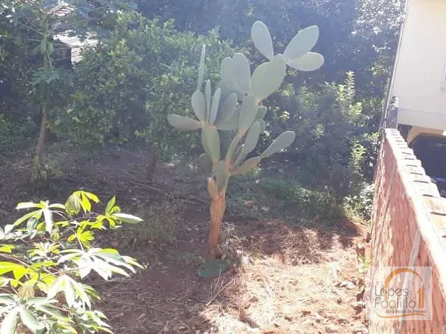 Terreno com 498m², à venda, no bairro Alvinópolis em Atibaia