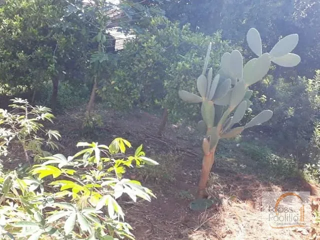 Terreno com 498m², à venda, no bairro Alvinópolis em Atibaia
