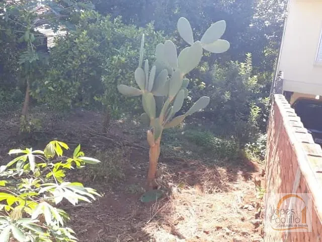 Terreno com 498m², à venda, no bairro Alvinópolis em Atibaia