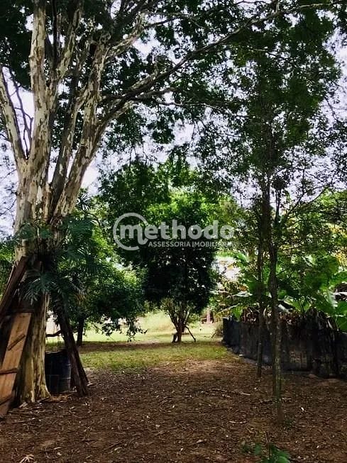 Terreno, 1830 m² - Foto 3