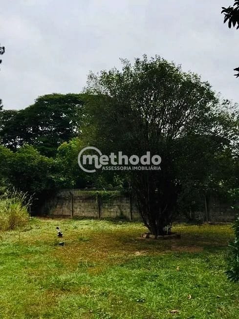 Terreno, 1830 m² - Foto 4