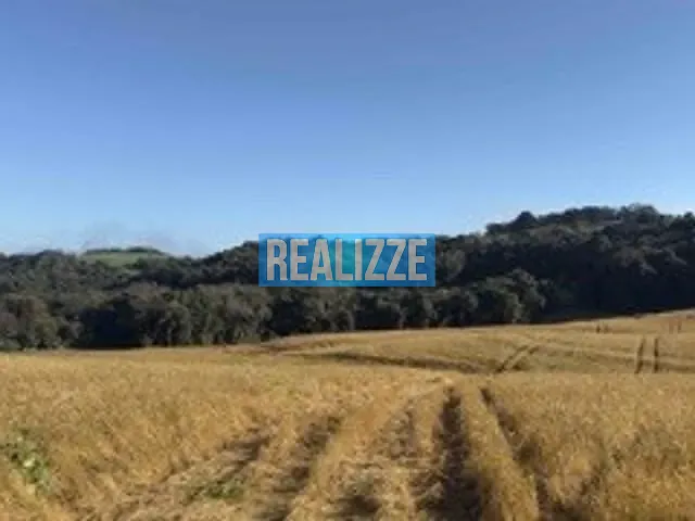 Terreno com 128000m², à venda, no bairro Comunidade do Taquari em Marau