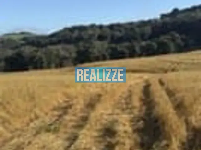 Terreno com 128000m², à venda, no bairro Comunidade do Taquari em Marau