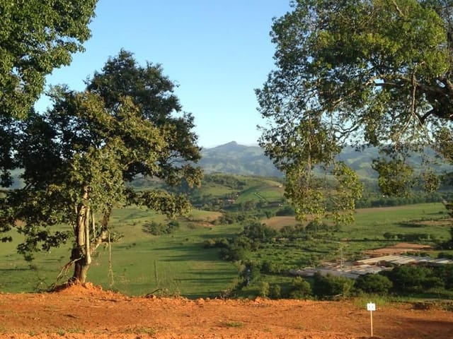 Terreno com 890m², à venda, no bairro Cambuí em Cambuí