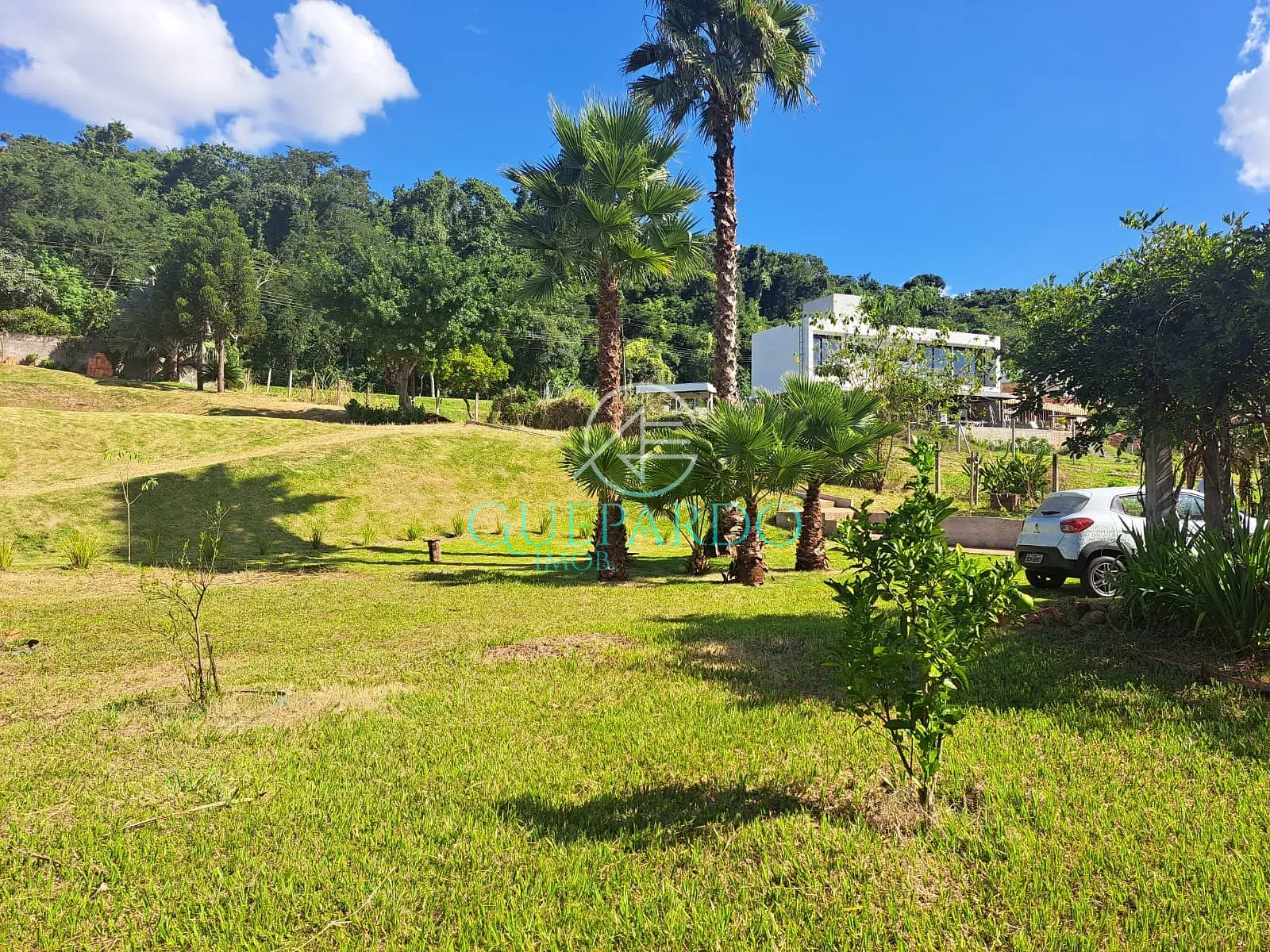 Terreno, 3695 m² - Foto 1