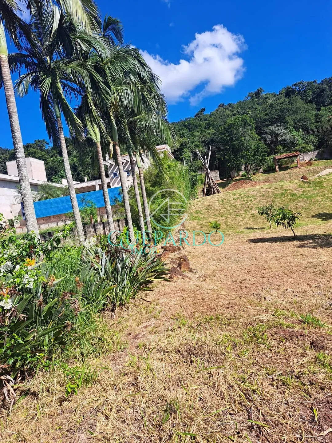 Terreno, 3695 m² - Foto 5