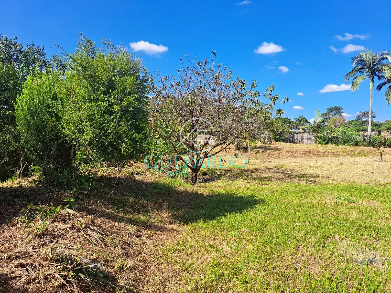 Terreno, 3695 m² - Foto 10