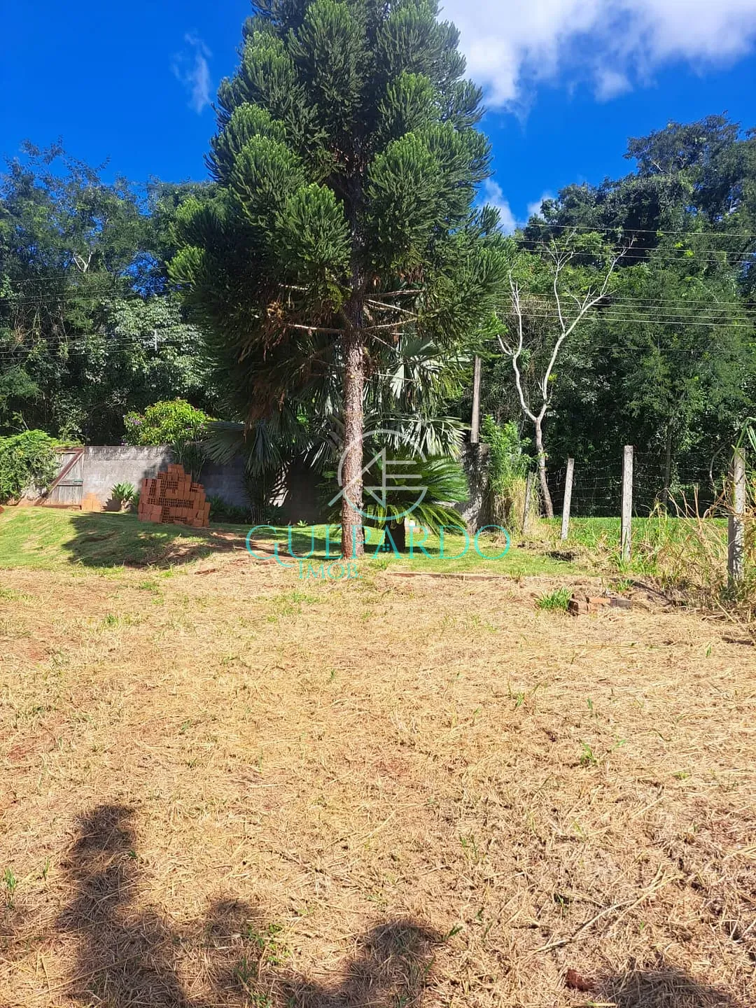 Terreno, 3695 m² - Foto 8