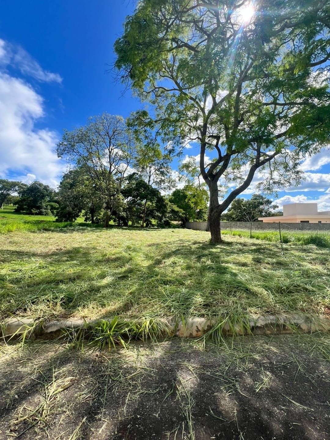 Terreno, 1000 m² - Foto 1