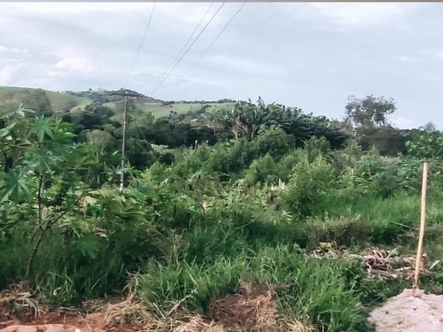 Terreno à venda, no bairro Vazes em Cambuí