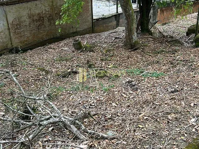 Terreno com 9415m², à venda, no bairro Sertão em Itapema