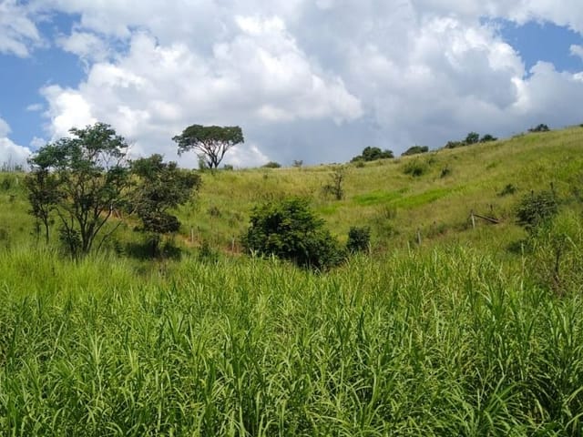 Terreno com 40000m², à venda, no bairro Aracariguama em Araçariguama