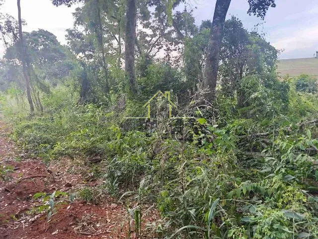 Terreno com 2010m², à venda, no bairro Portal dos Nobres em Guaxupé