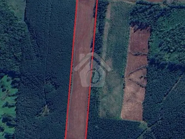 Terreno com 25000m², à venda, no bairro Interior em Paverama