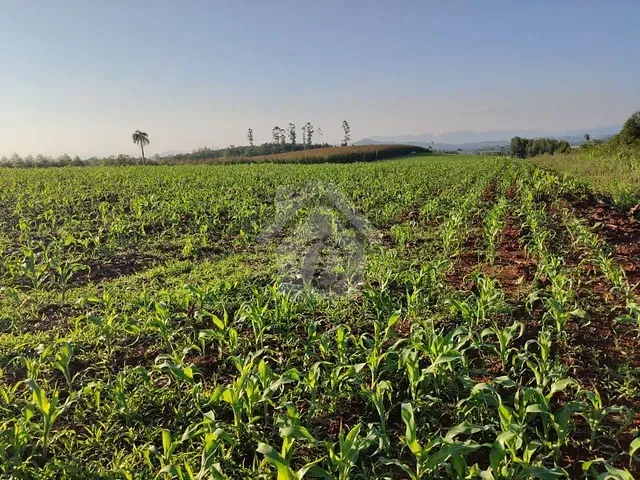 Terreno com 25000m², à venda, no bairro Interior em Paverama