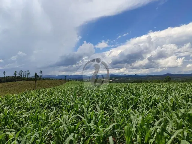 Terreno com 25000m², à venda, no bairro Interior em Paverama