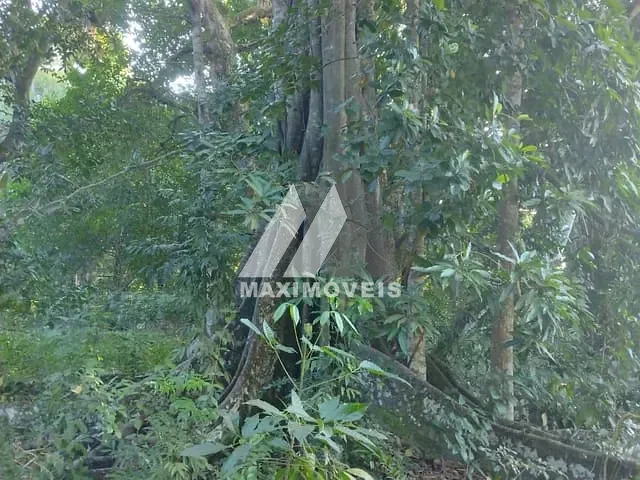 Terreno com 1334m², à venda, no bairro Santo Antônio em Santa Cruz Cabrália