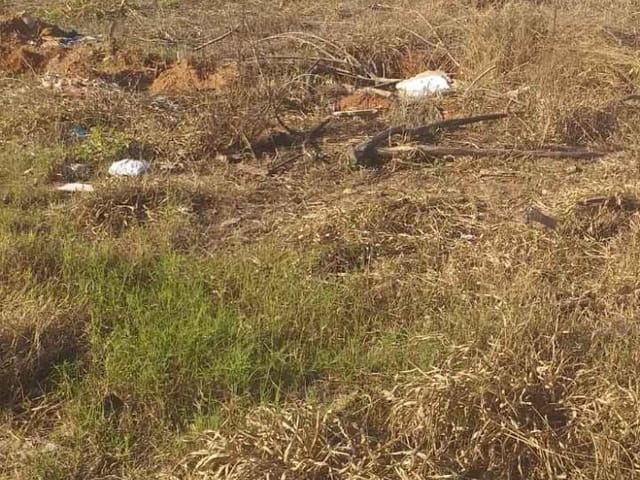 Foto do Terreno - Terreno no Jd. Jandaia | Zwicker Imóveis