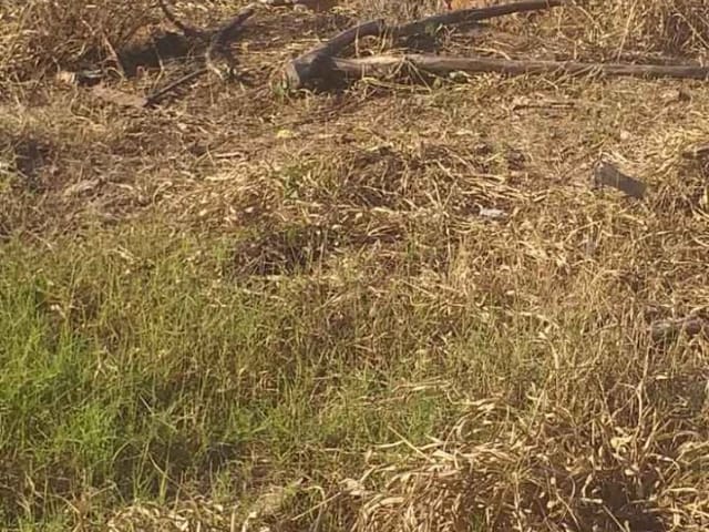 Foto do Terreno - Terreno no Jd. Jandaia | Zwicker Imóveis