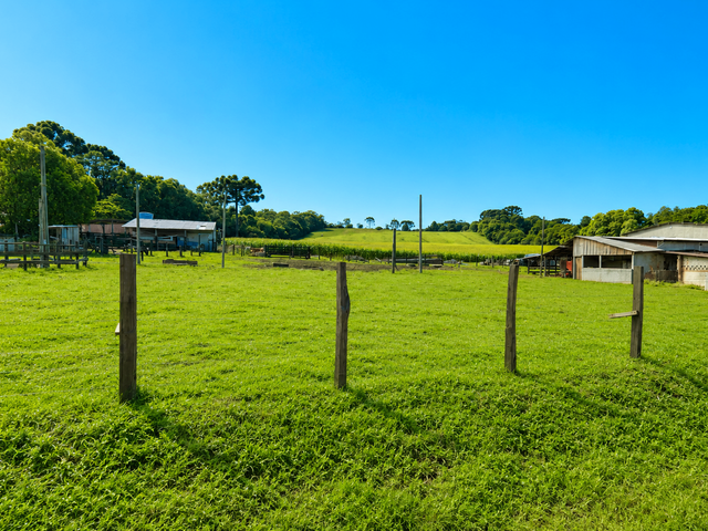 Terreno com 72600m², à venda, no bairro Jardim Social em Campo Largo