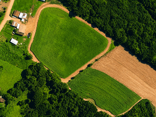 Terreno com 72600m², à venda, no bairro Jardim Social em Campo Largo