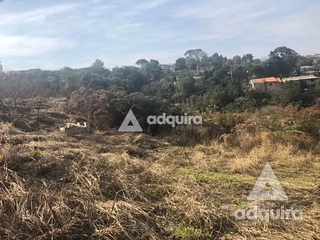 Terreno com 348m², à venda, no bairro Chapada em Ponta Grossa
