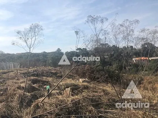 Terreno, 348 m² - Foto 3