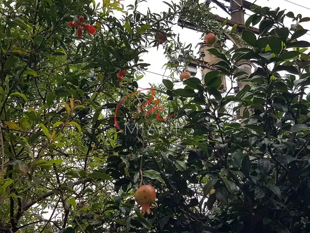Terreno com 316m², à venda, no bairro Jardim Ivana em São Paulo