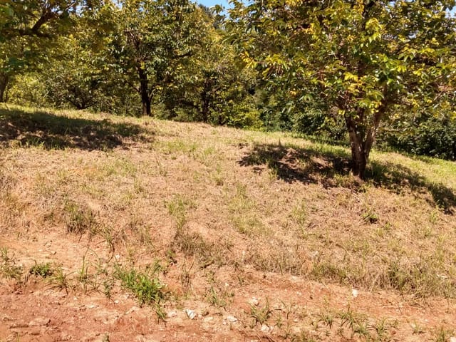 Terreno com 20000m², à venda, no bairro Engenho Seco em Louveira