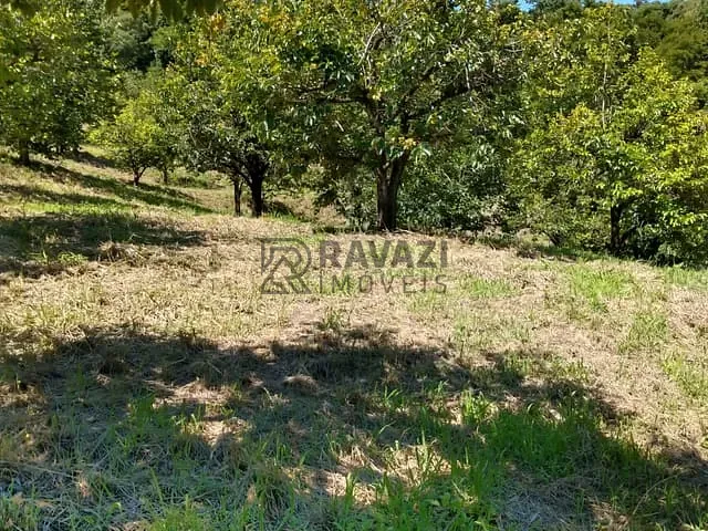 Terreno com 20000m², à venda, no bairro Engenho Seco em Louveira