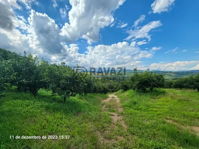 Terreno com 20000m², à venda, no bairro Engenho Seco em Louveira