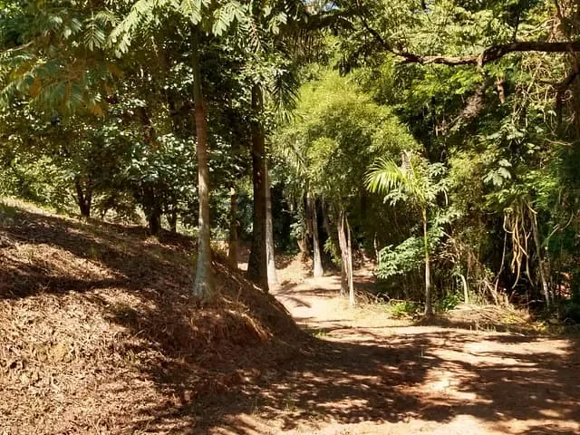 Terreno com 20000m², à venda, no bairro Engenho Seco em Louveira