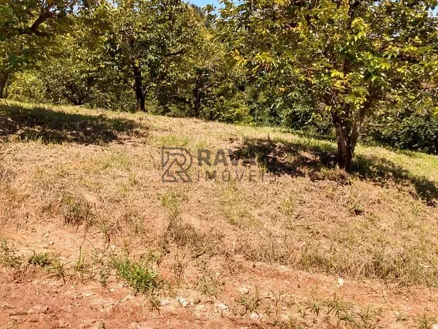 Terreno com 20000m², à venda, no bairro Engenho Seco em Louveira