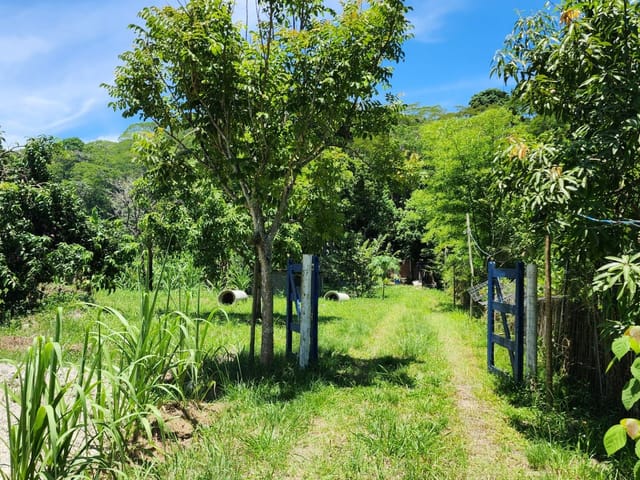 Terreno com 6248m², à venda, no bairro Cantagalo em Cantagalo