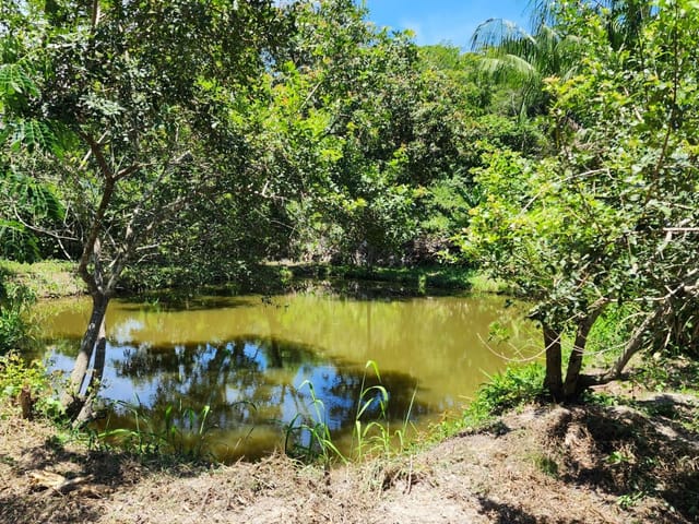 Terreno com 6248m², à venda, no bairro Cantagalo em Cantagalo