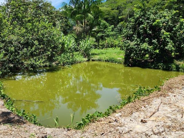 Terreno com 6248m², à venda, no bairro Cantagalo em Cantagalo