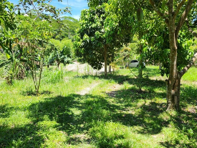 Terreno com 6248m², à venda, no bairro Cantagalo em Cantagalo