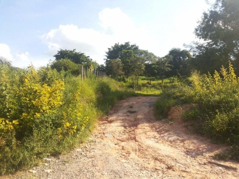 Terreno, 1000 m² - Foto 3
