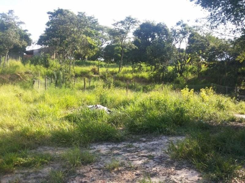 Terreno, 1000 m² - Foto 6