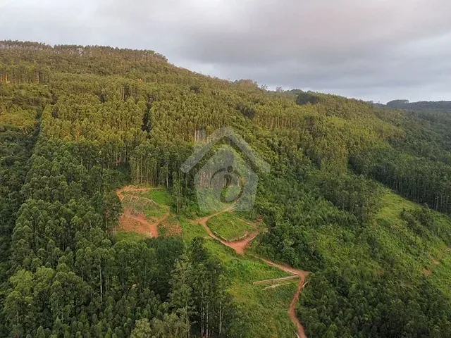 Terreno com 80000m², à venda, no bairro Zona Rural em Poço das Antas