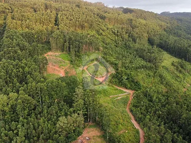 Terreno com 80000m², à venda, no bairro Zona Rural em Poço das Antas