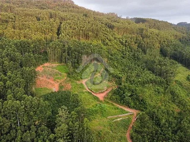 Terreno com 80000m², à venda, no bairro Zona Rural em Poço das Antas