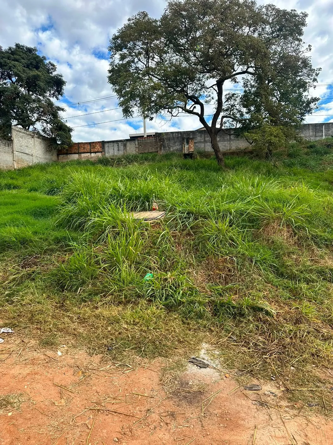Terreno, 2020 m² - Foto 6