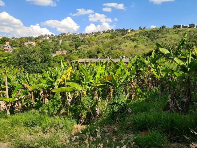 Terreno com 3000m², à venda, no bairro Panorama (Polvilho) em Cajamar