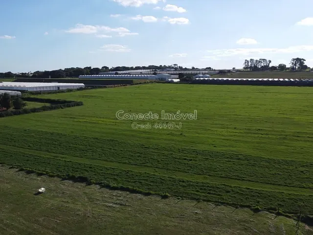 Terreno com 20342m², à venda, no bairro Centro em Holambra