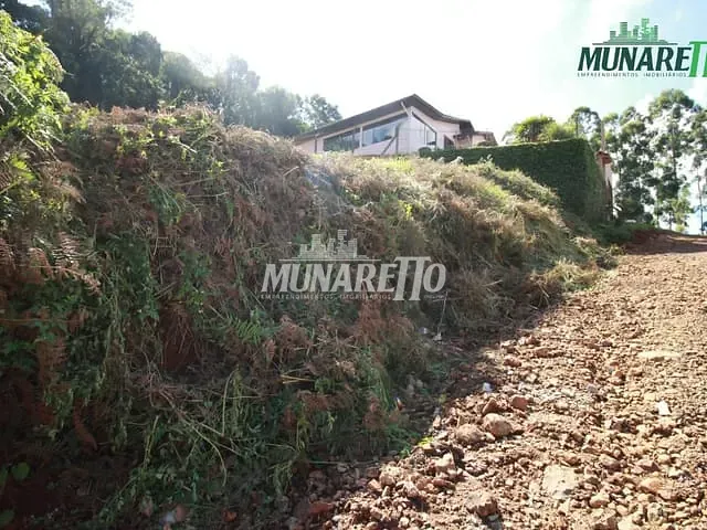 Terreno com 404m², à venda, no bairro Vista Alegre em Concórdia