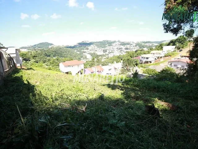 Terreno com 404m², à venda, no bairro Vista Alegre em Concórdia